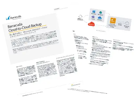データシート：Cloud-to-Cloud Backup
