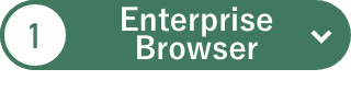 EnterpriseBrowser