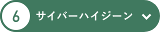 サイバーハイジーン