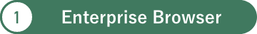 EnterpriseBrowser