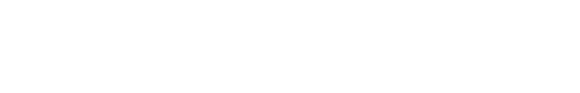 InsightAppSec