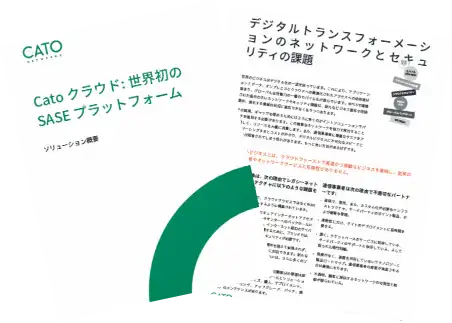 Cato ソリューション紹介