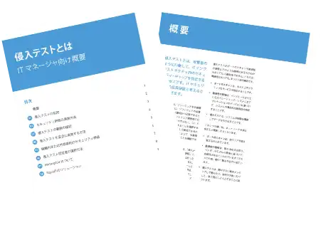 侵入テストとは ITマネージャー向け概要